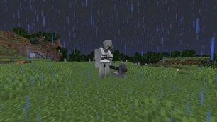 Bone brute