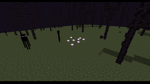 Screenshot (345).png