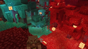 BetterDefault_MarketingScreenshot_5.jpg