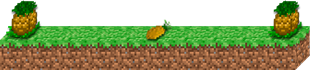 topdivider