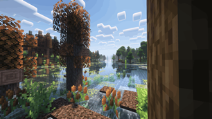 image-13.png