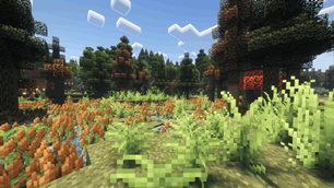 image-16.png