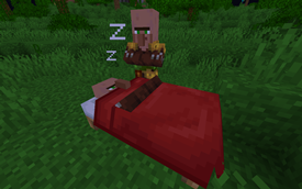 sleeping villager (Subtle Effects + Cozy Beds)