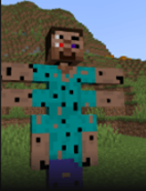 Steve