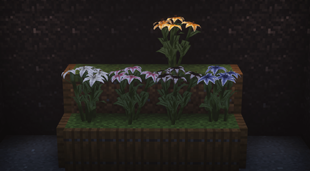 2025-04-27_22.57.21-1920x1057.png