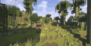 Dingy Jungle (1)