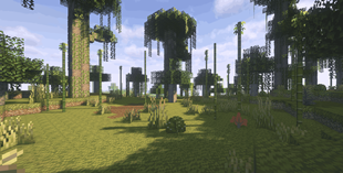 Dingy Jungle (2)