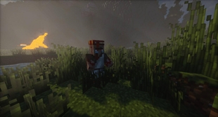 villager