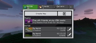 Screenshot 29
