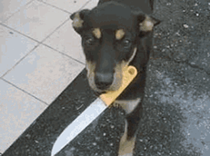wolf sword mod