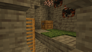 Pewen Chest and Ladders