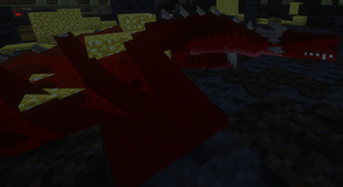 A sleeping dragon