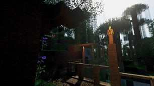 Jungle 256x