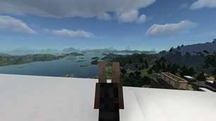 What a view