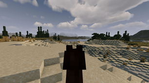 Beach view of Mountains