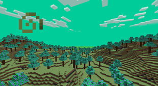 cool forest