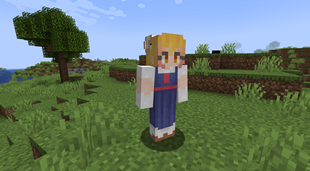 Tohru mob (from version 0.1.2)