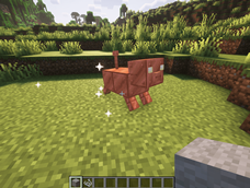 Copper Treasure Pig
