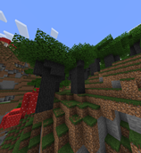 Dark Oak Wood Forest.png