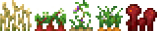 All 5 Crops
