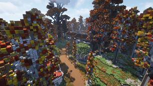 Birch Forest Gym