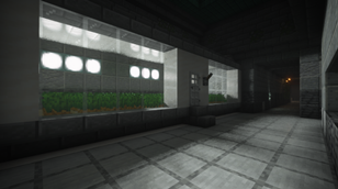 Underground Farm