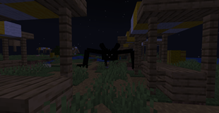 Village