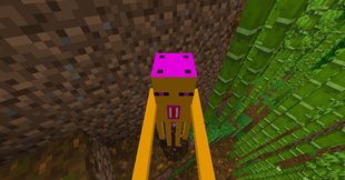 ORANGEMAN