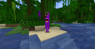 ENDERMOUTH