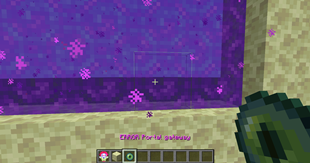 portal.png