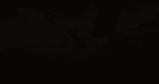 Run
