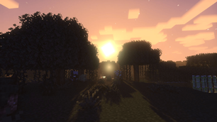 Swampy sunrise