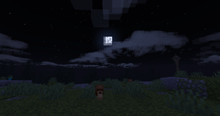 Two snails on a hill at night