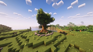 Big Oak Tree