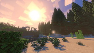 Landscape 1