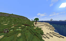nice beach