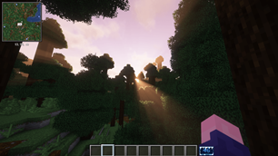 spruce forest with unbound shader