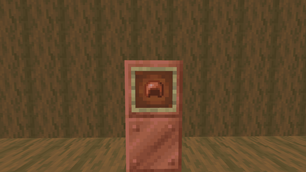 Copper Helmet