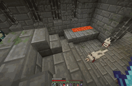 Pets teleport across dimensions