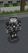 trulk