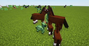 Zombie horse, horse, foals and zombie foals