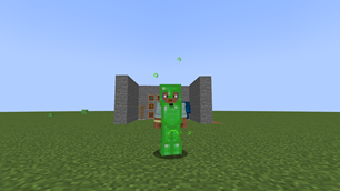 ss14.png