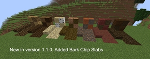 ML_Bark Slabs.jpg