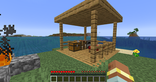 SURVIVAL ISLAND