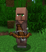 Fake villager again