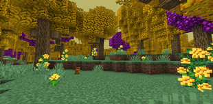 Ipe Amarelo Plains