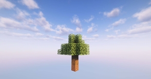Starting Tree.jpg