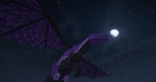 Fly on Magestic Dragons.jpg