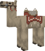 Nromal Camel, saddle 2