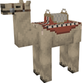 Normal Camel, saddle 1